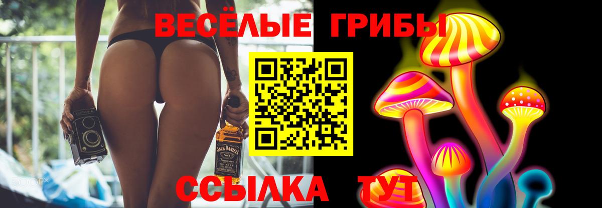 Псилоцибиновые грибы мицелий  Вход с VPN  Галлюциногенные грибы MAGIC MUSHROOMS  Луга 